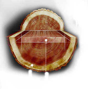 必赢766net手机版·(中国)唯一官方网站